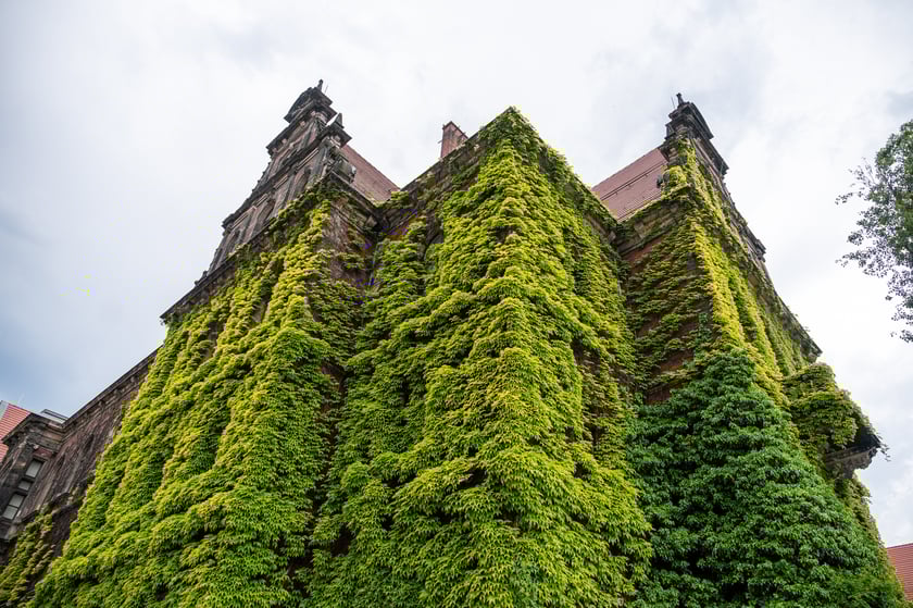 Muzeum Narodowe we Wrocławiu